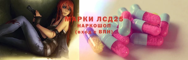 ПСИЛОЦИБИНОВЫЕ ГРИБЫ Алексин