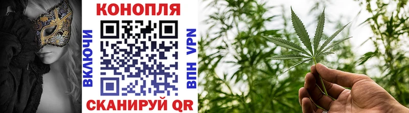 наркота  Палласовка  ссылка на мегу ТОР  Шишки марихуана OG Kush 